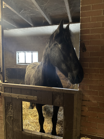 pasted-image-mon-jan-19-2026-22-08-06-gmt-0100-midden-europese-standaardtijd-high