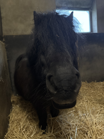 pasted-image-mon-jan-19-2026-22-09-44-gmt-0100-midden-europese-standaardtijd-high