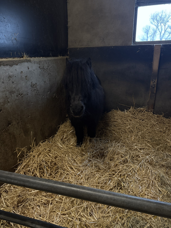 pasted-image-mon-jan-19-2026-22-09-55-gmt-0100-midden-europese-standaardtijd-high