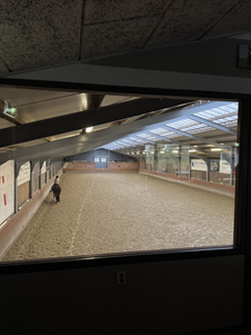 Vanuit de kantine kan je de grote binnenbak zien.