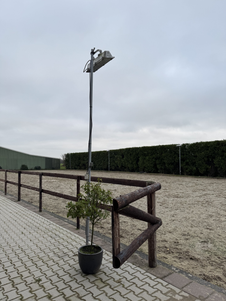 Als je dan weer naar buiten loopt en om de hoek kijkt zie je de buitenbak.