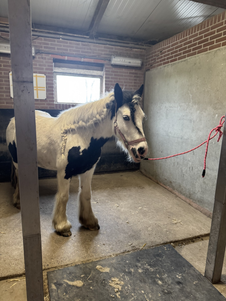 En daarna de poetsplaats.