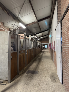 Als je dan verder loopt zie je deze lange gang met alle manege paarden.