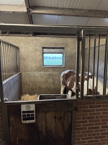 Zo zien de andere stallen eruit.