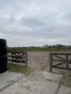 Als je verder naar achter loopt zie je de longeer cirkel.