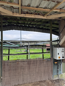 Aan het plein zit ook de stapmolen.