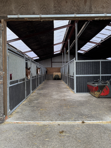 En daarnaast stallen met jonge paarden die zadelmak gemaakt worden.