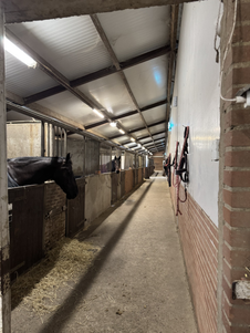 Naast de spuitplaats staan de paarden van de eigenaar.